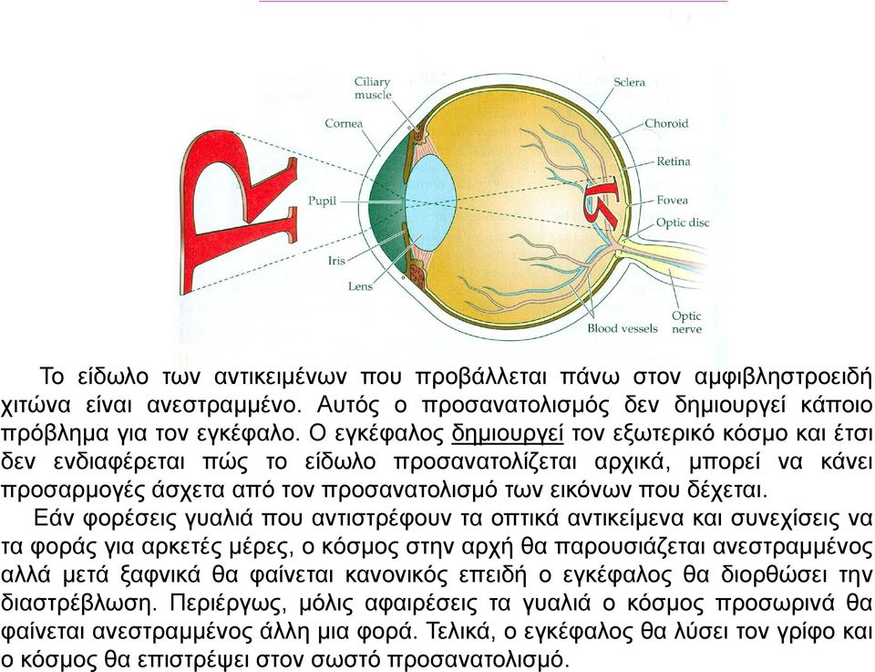 Εάν φορέσεις γυαλιά που αντιστρέφουν τα οπτικά αντικείμενα και συνεχίσειςνα τα φοράς για αρκετές μέρες, ο κόσμος στην αρχή θα παρουσιάζεται ανεστραμμένος αλλά μετά ξαφνικά θα φαίνεται κανονικός