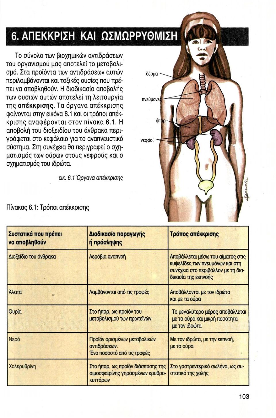 και οι τρόποι απέκκρισης αναφέρονται στον πίνακα 6.1. Η αποβολή του διοξειδίου του άνθρακα περιγράφεται στο κεφάλαιο για το αναπνευστικό σύστημα.