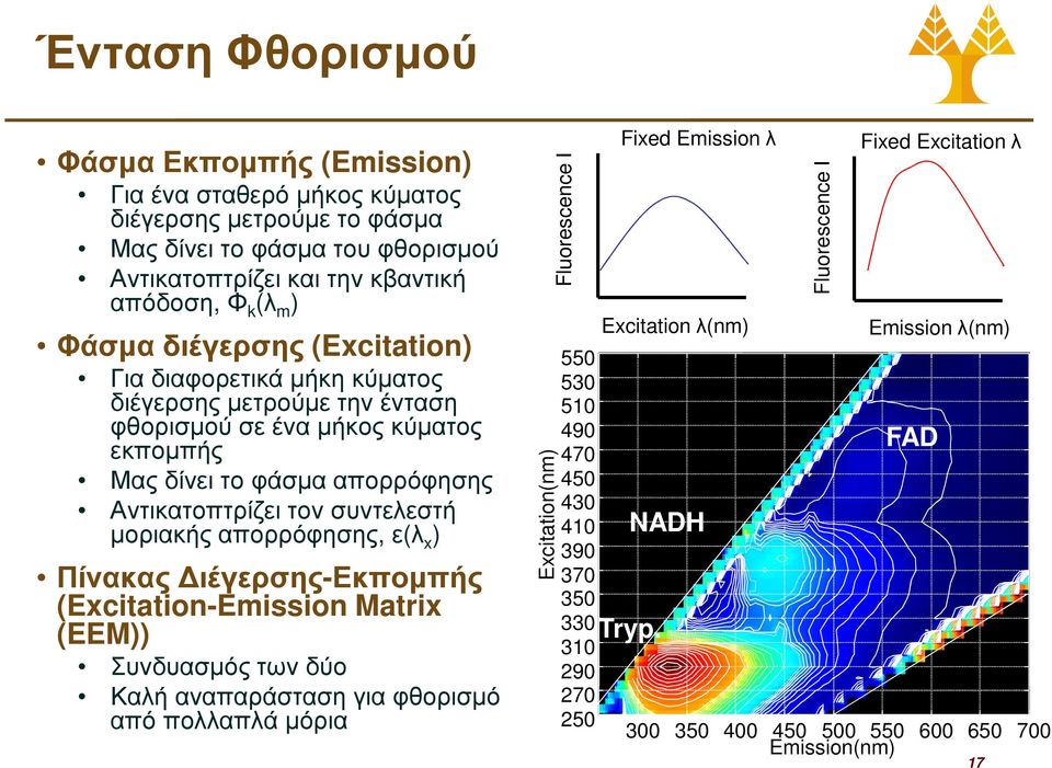 απορρόφησης, ε(λ x ) Πίνακας ιέγερσης-εκποµπής (Excitation-Emission Matrix (EEM)) Συνδυασµός των δύο Καλή αναπαράσταση για φθορισµό από πολλαπλά µόρια Excitation(nm) Fluorescence Ι 550 530 510