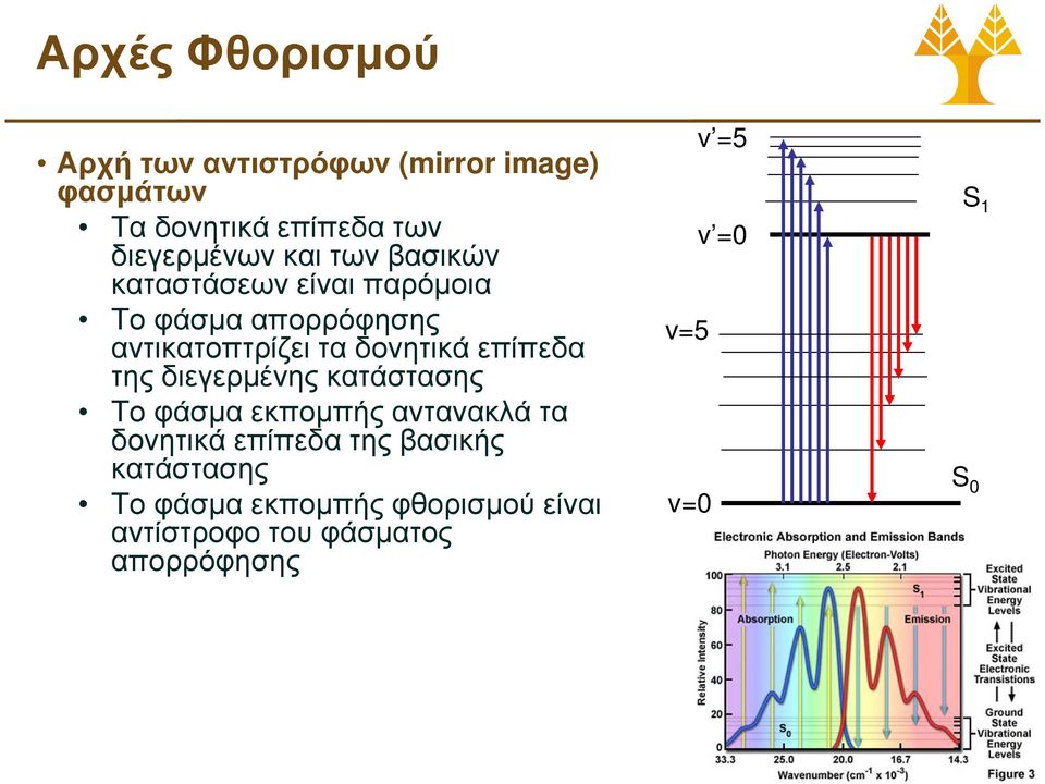 επίπεδα της διεγερµένης κατάστασης Το φάσµα εκποµπής αντανακλά τα δονητικά επίπεδα της βασικής