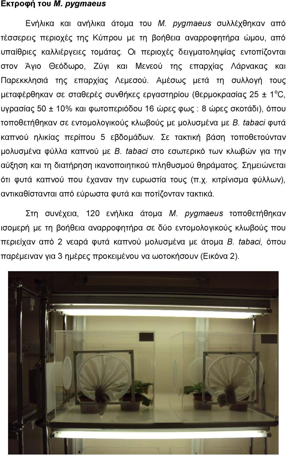 Αμέσως μετά τη συλλογή τους μεταφέρθηκαν σε σταθερές συνθήκες εργαστηρίου (θερμοκρασίας 25 ± 1 ο C, υγρασίας 50 ± 10% και φωτοπεριόδου 16 ώρες φως : 8 ώρες σκοτάδι), όπου τοποθετήθηκαν σε