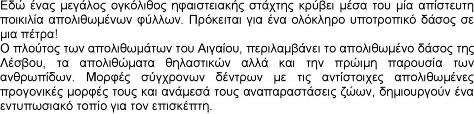 Ο πλούτος των απολιθωμάτων του Αιγαίου, περιλαμβάνει το απολιθωμένο δάσος της Λέσβου, τα απολιθώματα θηλαστικών αλλά και