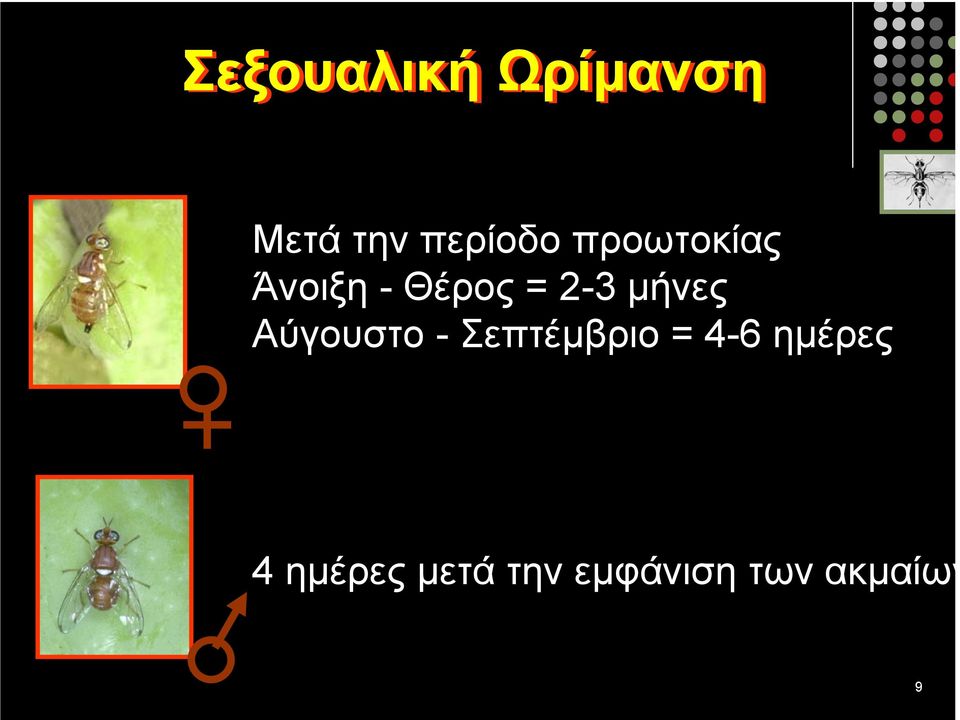 Αύγουστο - Σεπτέµβριο = 4-6 ηµέρες 4