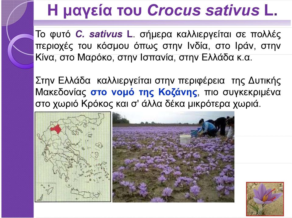 Ιράν, στην Κίνα,