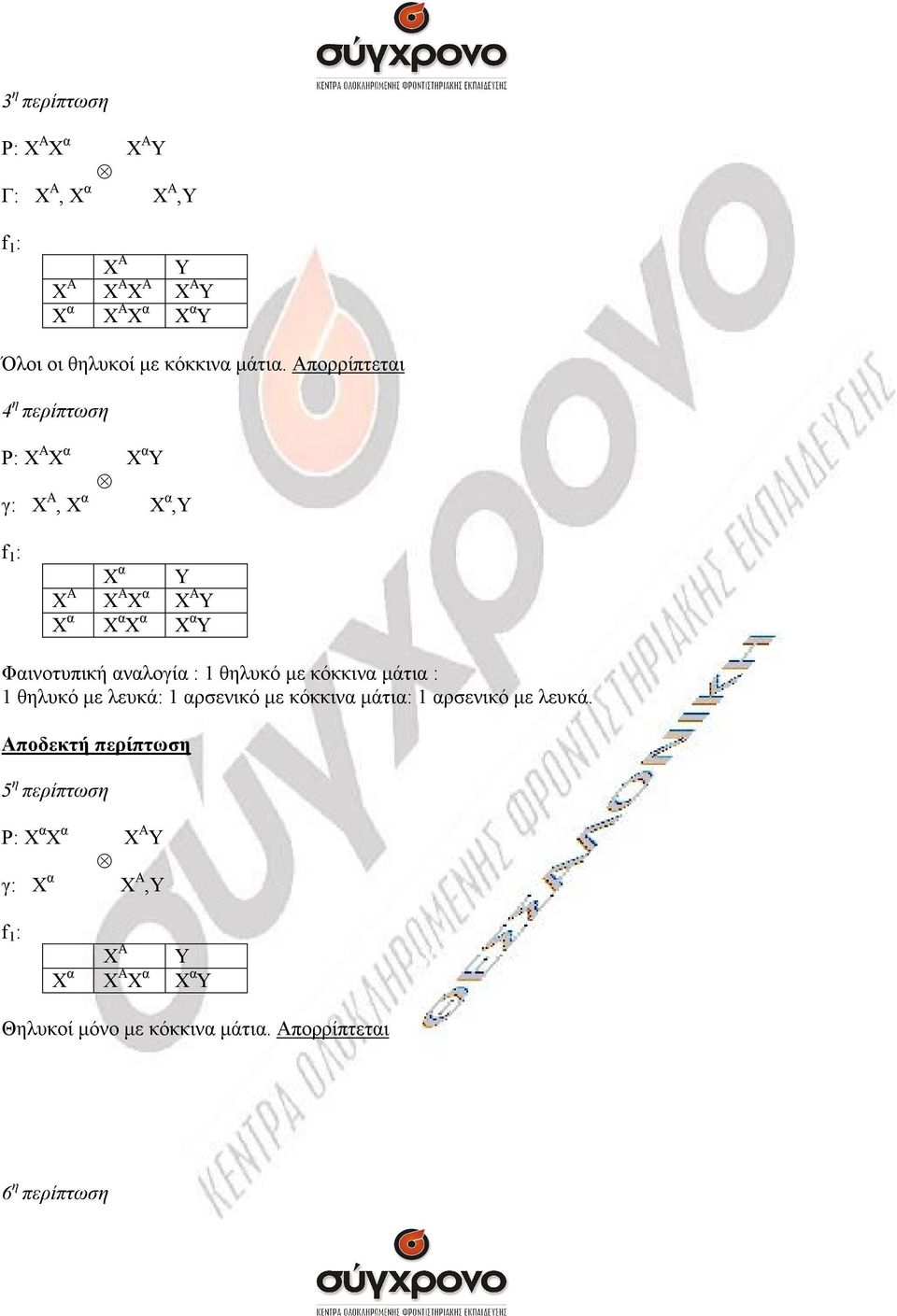 θηλυκό µε κόκκιν µάτι : 1 θηλυκό µε λευκά: 1 ρσενικό µε κόκκιν µάτι: 1 ρσενικό µε λευκά.