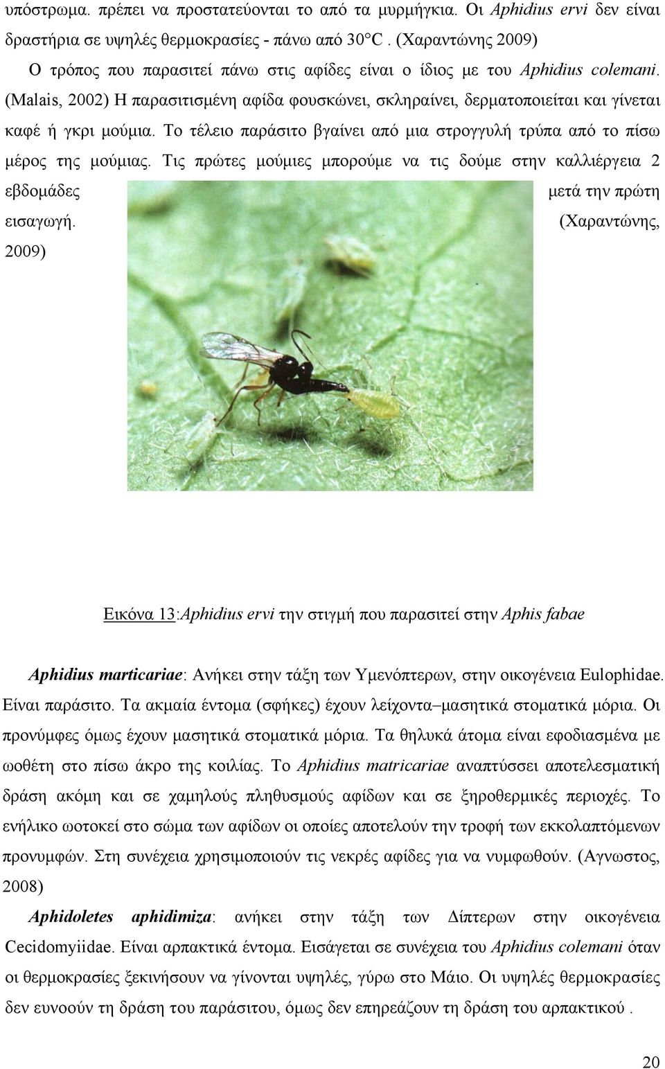 (Malais, 2002) Η παρασιτισμένη αφίδα φουσκώνει, σκληραίνει, δερματοποιείται και γίνεται καφέ ή γκρι μούμια. Το τέλειο παράσιτο βγαίνει από μια στρογγυλή τρύπα από το πίσω μέρος της μούμιας.