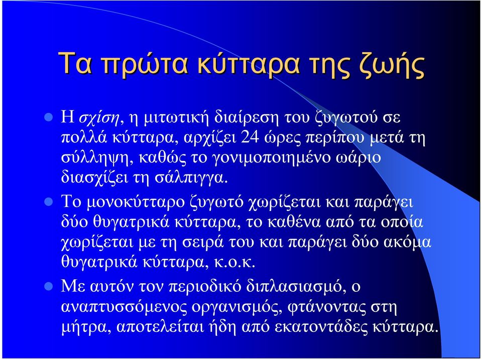 Το µονοκύτταρο ζυγωτό χωρίζεται και παράγει δύο θυγατρικά κύτταρα, το καθένα από τα οποία