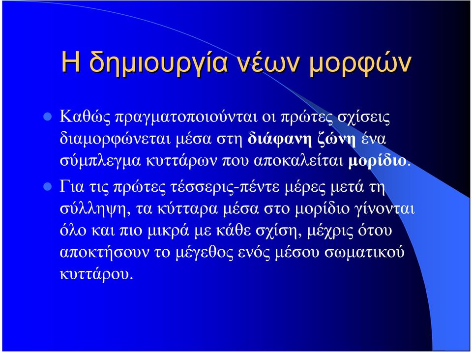 Για τις πρώτες τέσσερις-πέντε µέρες µετά τη σύλληψη, τα κύτταρα µέσα στο µορίδιο