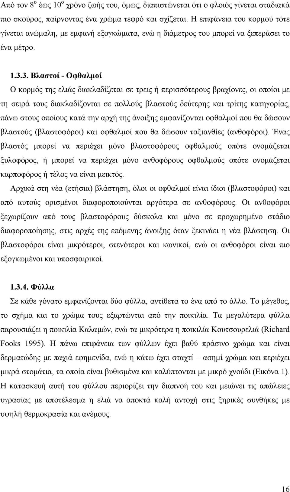 3. Βλαστοί - Οφθαλμοί Ο κορμός της ελιάς διακλαδίζεται σε τρεις ή περισσότερους βραχίονες, οι οποίοι με τη σειρά τους διακλαδίζονται σε πολλούς βλαστούς δεύτερης και τρίτης κατηγορίας, πάνω στους