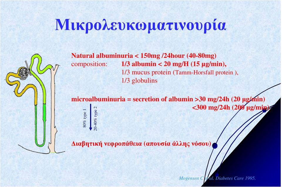 microalbuminuria = secretion of albumin >30 mg/24h (20 µg/min) <300 mg/24h (200µg/min) 80%