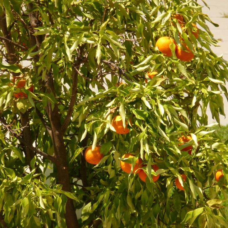 ΣΚΕΠΤΟΜΕΝΟΙ ΣΕ ΤΡΙΤΟ