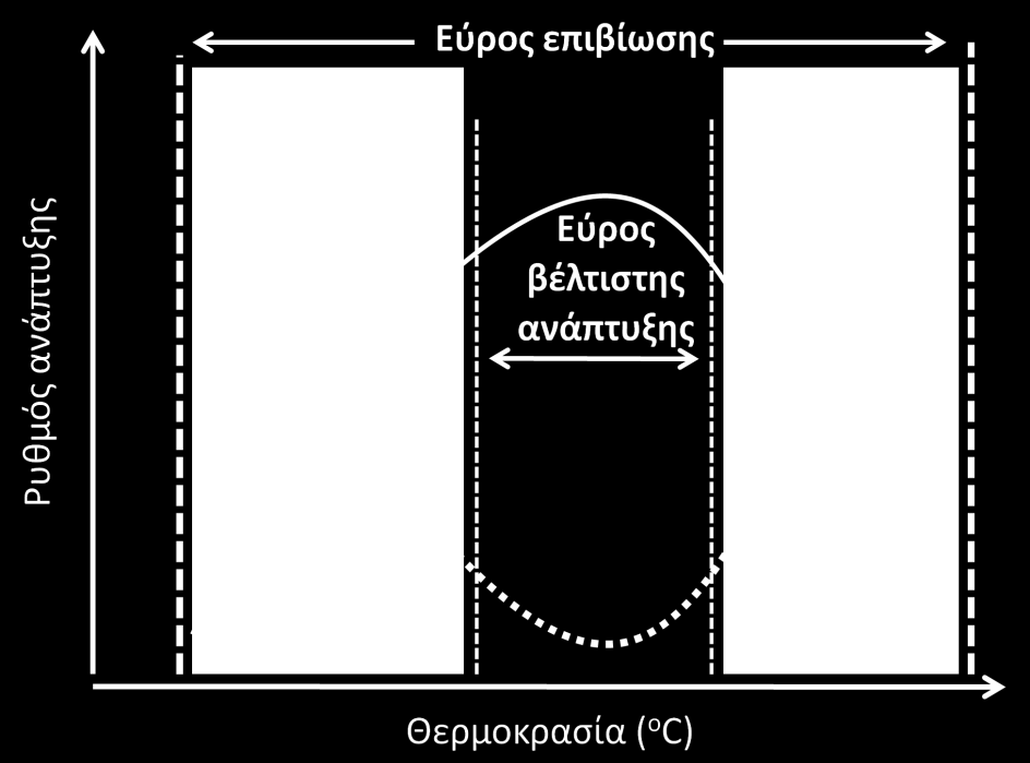 πρέπει να έχει προσδιοριστεί η μεταβολή της καθ όλη τη διάρκεια της εκτροφής. Σχήμα 1. Σχέση θερμοκρασίας νερού και ρυθμού ανάπτυξης υδρόβιων οργανισμών.