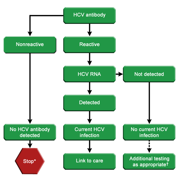 Αλγόριθμος HCV Ελέγχου * Για τα άτομα που είναι πιθανόν να έχουν εκτεθεί στον HCV κατά τους τελευταίους 6 μήνες, θα πρέπει να εκτελείται έλεγχος για HCVRNA ή επανέλεγχος HCV αντισωμάτων.