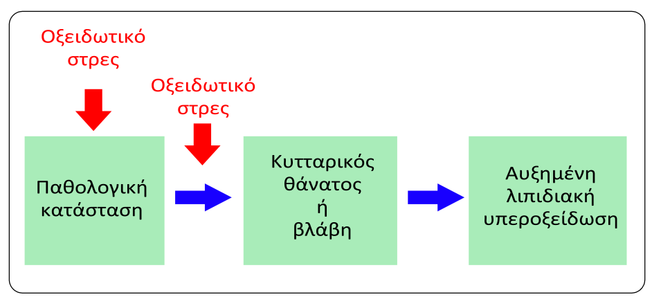 Ανίχνευση προϊόντων της λιπιδιακής υπεροξείδωσης σε παθολογικές καταστάσεις Υπάρχει μια πλειάδα τεχνικών για την παρακολούθηση της εξέλιξης της λιπιδιακής υπεροξείδωσης.