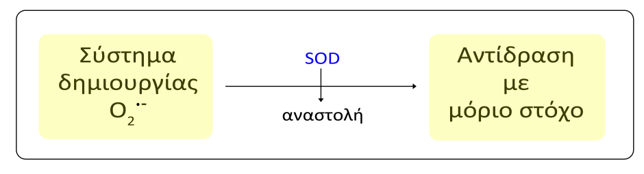 Μέθοδοι εκτίμησης της δράσης των SODs Αν και υπάρχουν μέθοδοι άμεσης μέτρησης της δράσης της SOD, στα περισσότερα εργαστήρια χρησιμοποιούνται έμμεσοι τρόποι λόγω της απλότητάς τους.