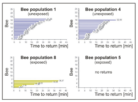 Ο ρόλος τής ανθρωπογενούς ακτινοβολίας στην εξαφάνιση των μελισσών - 34 Τα δυο πάνω σχεδιαγράμματα δείχνουν τον πληθυσμό μελισσών που δεν εκτέθηκε σε ακτινοβολία και το χρόνο επιστροφής τους.