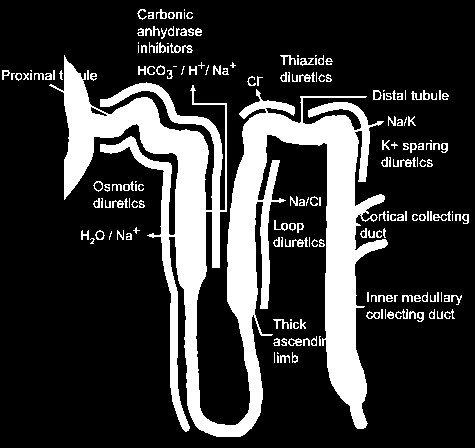 Diuretics