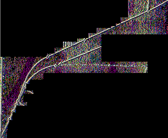c 240 230 - (14) Burning and charring line (13)Brown dextrins form (12) Outer surface of biscuit skin (11) Caramélisation starts \ Yellow dextrins form \ Gas production complete point of maximum