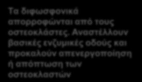 Το Denosumab και τα Διφωσφονικά Διαρρηγνύουν τον Φαύλο Κύκλο Το denosumab απομονώνει τον ελεύθερο Συνδέτη του RANK και με αυτόν τον τρόπο αναστέλλει τον σχηματισμό, τη λειτουργία και την επιβίωση των