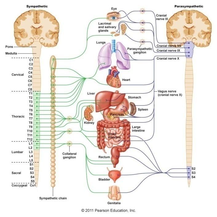 mortality, however, at the cost of very severe complications in