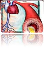 Αγγειοδιασταλτικά (Wang et al., 2002 ; Tang et al., 2005) ή αγγειοσυσπαστικά φαινόµενα (Ufnal et al., 2008) Επαγωγή αγγειογένεσης. Αύξηση του περιεχοµένου σε αιµοσφαιρίνη (Cai et al.