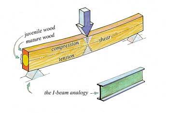 (2) Μορφολογία και διαστάσεις δειγμάτων ξύλου για μέτρηση των διαφόρων μηχανικών ιδιοτήτων (1): Αξονικός εφελκυσμός, (2): Εγκάρσιος εφελκυσμός, (3): Διάτμηση, (4): Σχίση, (5): Αξονική θλίψη, (6):