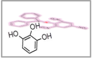 lnk lnk SiO 2-HA nanohybrids consist of an organic functionality (HA, GA or HALP) grafted on the surface of SiO 2 nanoparticles particles [1], Scheme 1.