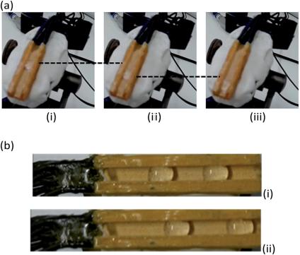 channel, acts as the microfluidic channel, while its adjacent channels serve for backpressure application; that is, they allow gas to feed through their porous walls to the microfluidic channel.