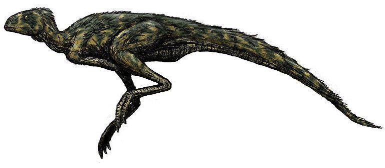 Ιουρασικό Pisanosaurus, A. Τριαδικό O S Pisanosaurus Α.