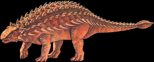 Ankylosaurus τέλος Κρητιδικού Θυρεοφόρο-6μέτρα τετραποδο φυτοφάγο Iguanodon Ιουρασικό-Κρητιδικό