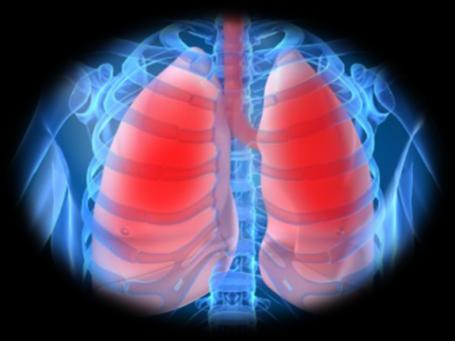 του συστήματός μας. Οι αναπνοές είναι και αυτές μέρος της εκτίμησης των ζωτικών σημείων ενός ασθενή.