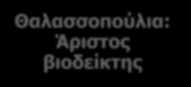 Θαλάσσια οικοσυστήματα: πολυπαραγοντικά, δυναμικά και με ακανόνιστες τροφικές πηγές Συλλογή και επεξεργασία χωροχρονικών πληροφοριών σε