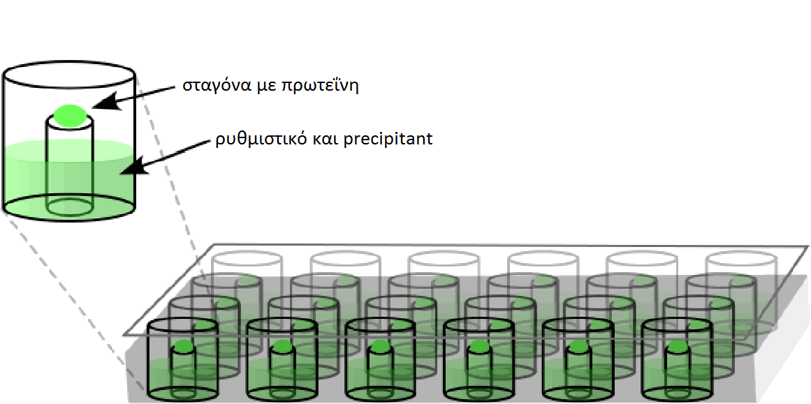 Εικόνα 28: Sitting drop μέθοδος (πηγή: http://www.grin.com/en/doc/272098/structurefunction-diversity-within-the-phosphoenolpyruvate-mutase-isocitrate).