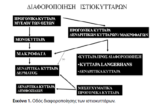 Ιστιοκυτταρώσεις αποτελούν σύνολο νοσημάτων μπορεί να προσβάλλουν ένα όργανο (μονοσυστηματική νόσος) ή περισσοτέρων του ενός οργάνου (πολυσυστηματική νόσος) κοινό παρανομαστής πολλαπλασιασμός και η