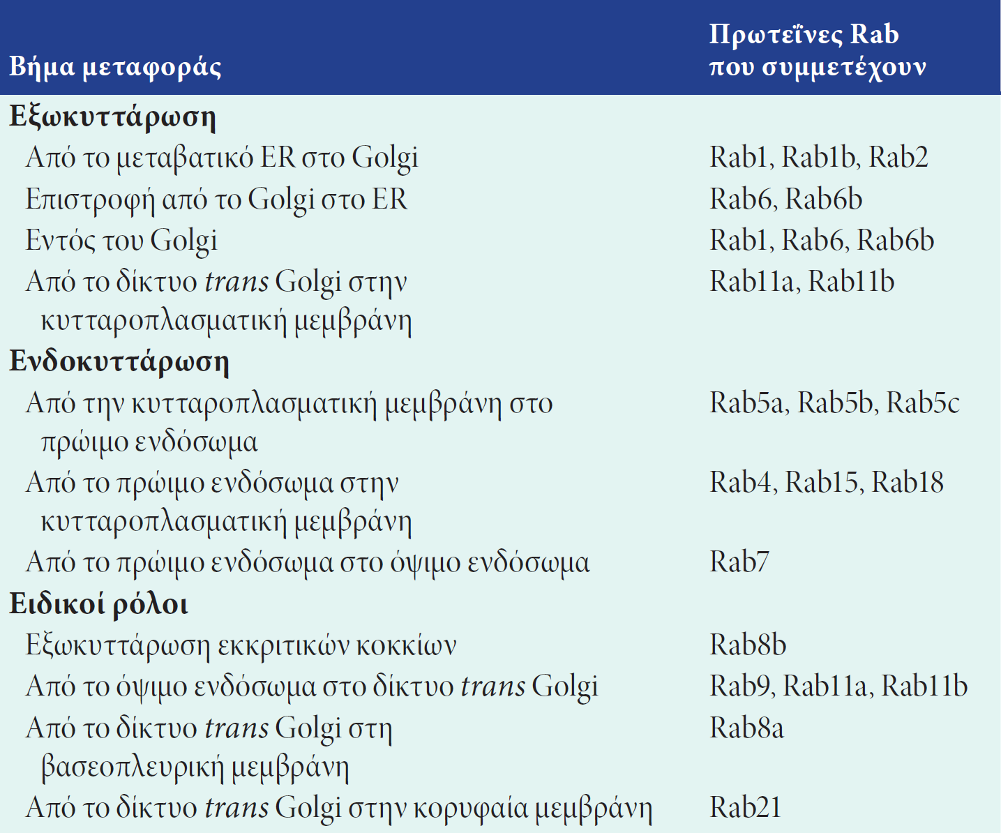 Rab πρωτεΐνες πρόσδεσης GTP και οι θέσεις δράσης τους Παραδείγματα από ένα σύνολο περισσότερων