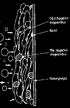 μερικώς τηγμένα σωματίδια εντοπίζονται στη δομή του επιστρώματος επηρεάζοντας τις ιδιότητές του.