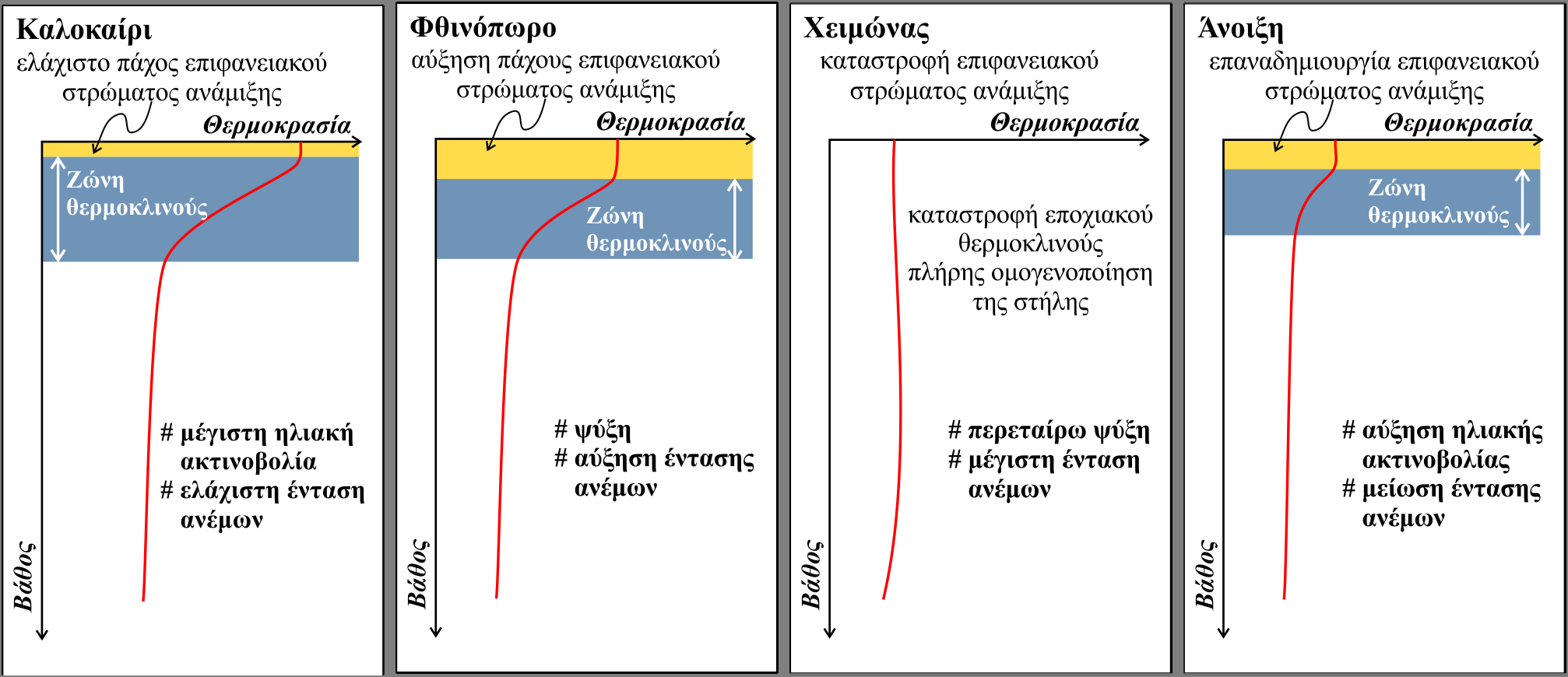 Η μεταβολή του εποχιακού θερμοκλινούς (για μέσα γεωγραφικά πλάτη) κατά τον ετήσιο κύκλο έχει ως εξής (Σχήμα 2.