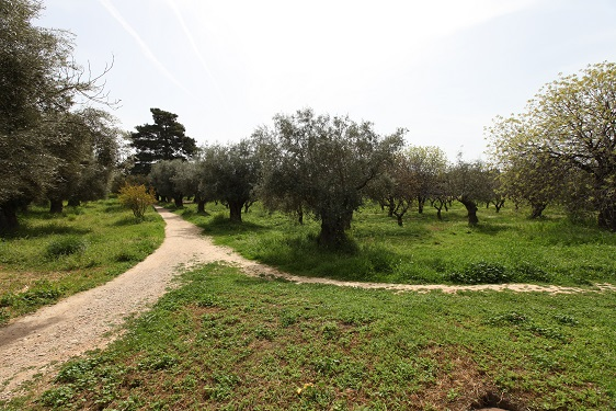 Η νέα Κοινή Αγροτική Πολιτική, μόνο κατ όνομα πράσινη!