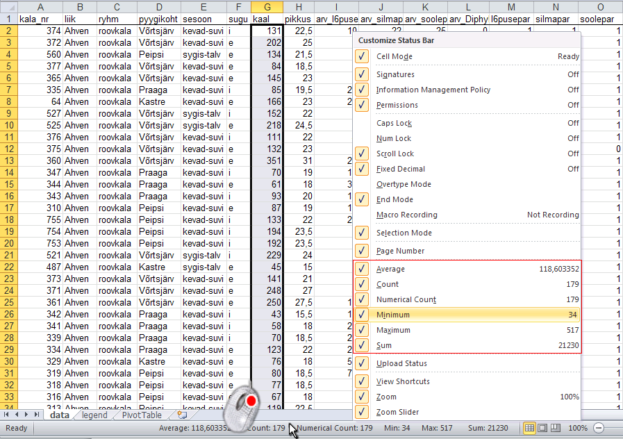 Kõige kiirem variant mõne olulisema arvkarakteristiku väärtuse teada saamiseks Excelis (näiteks minimaalse ja maksimaalse väärtuse välja selgitamiseks andmete kontrollimise või sagedustabeli klasside