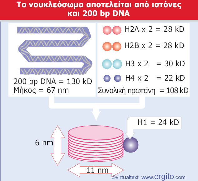 Εικόνα 20.