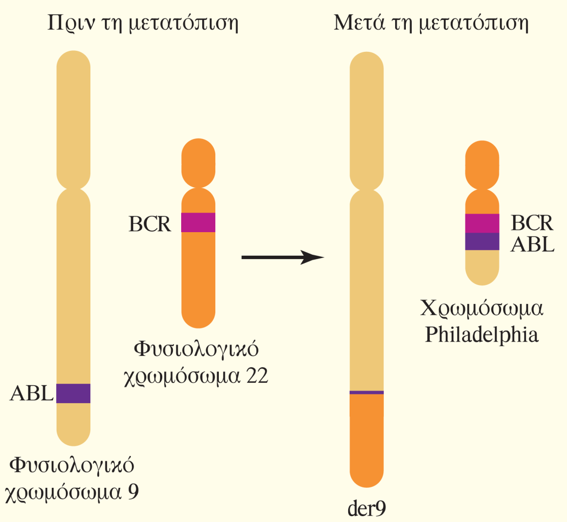 ΕΙΚΟΝΑ Π5.