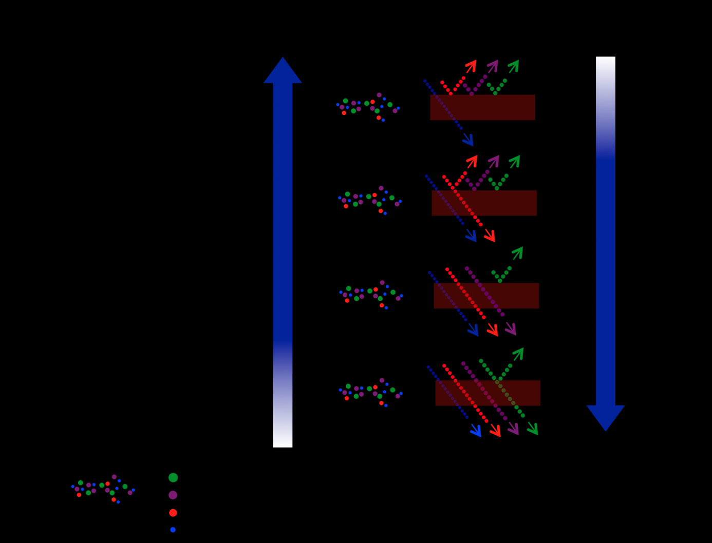 Σχήμα 1.10 Σύνοψη των κυριότερων διεργασιών διαχωρισμού με μεμβράνες 15.