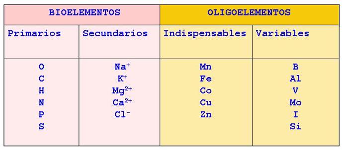 Primarios (98%)