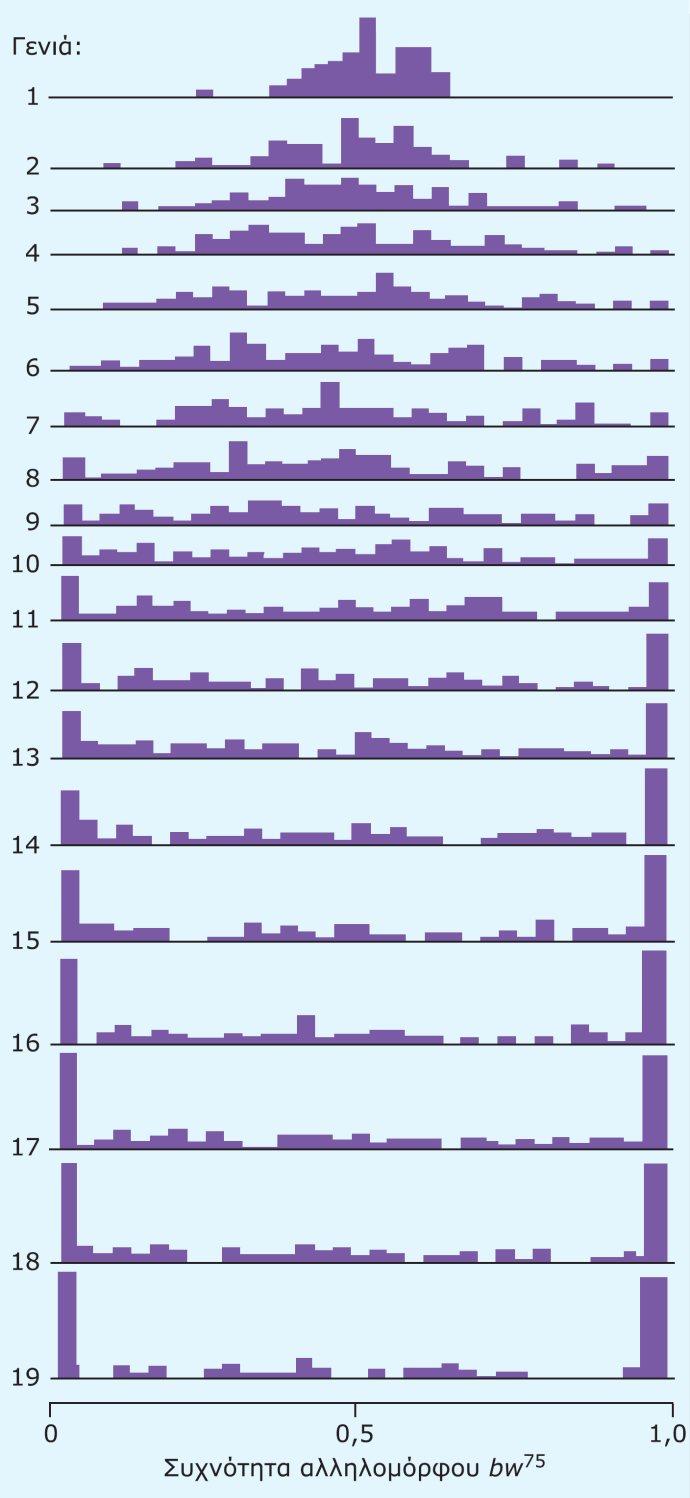 ΕΙΚΟΝΑ 24.11 Τα αποτελέσματα της μελέτης του Buri για τη γενετική παρέκκλιση σε 107 πληθυσμούς της Drosophila melanogaster.