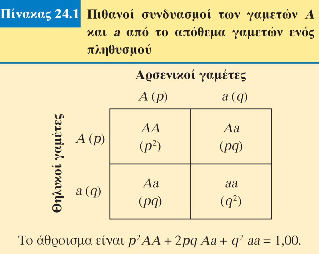 γονοτύπων στους απογόνους Α (p) Α (p) ΑΑ (p 2 ) α (q) Αα