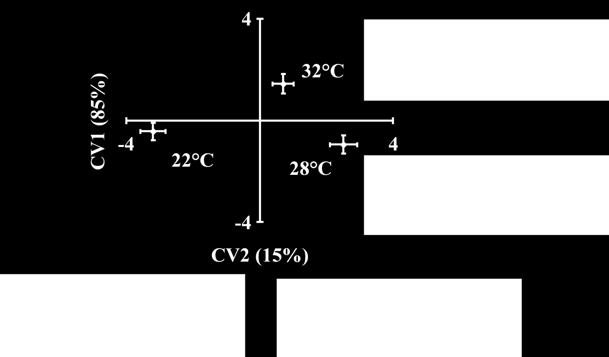 115 Εικόνα 4.1.4-1: Επίδραση της θερμοκρασίας ανάπτυξης (22 C, 28 C, or 32 C) κατά μήκος των δύο κανονικών μεταβλητών (CV1 και CV2). Δίνονται οι μέσες τιμές των κανονικών μεταβλητών, Mean±2SE.