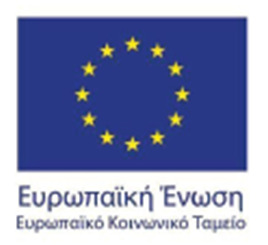 Ειδική Υπηρεσία Εφαρμογής «Ε.Π.
