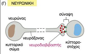 κυτταρικής επικοινωνίας;;