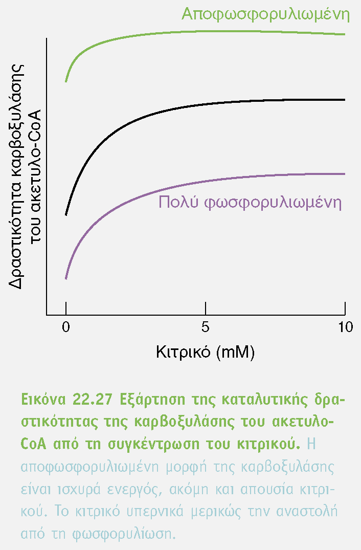 Έλεγχος μεταβολισμού των Λ.Ο.