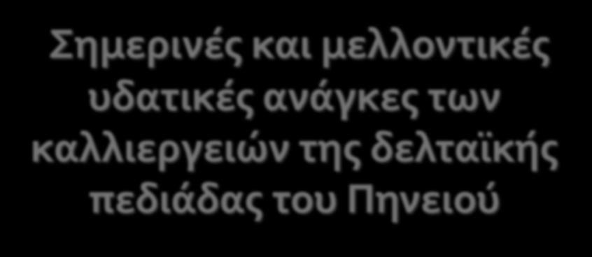 Σπυρίδων Κωτσόπουλος Καθηγητής, Διαχείριση